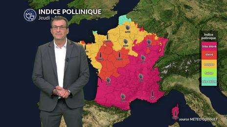 Bulletin pollens et allergies : explosion pollinique liée au pic de douceur exceptionnel
