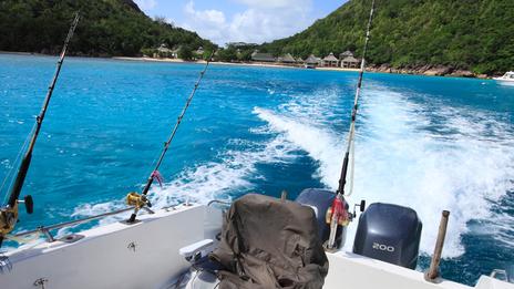 Pêche à la traîne côtière au printemps : techniques, réglages et espèces à cibler