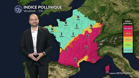 Bulletin pollens et allergies : risque élevé ce vendredi dans de nombreuses régions