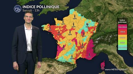 Bulletin pollens et allergies : risque élevé ce samedi dans le sud-est