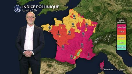 Bulletin pollens et allergies : retour d'un soleil généreux et cyprès sous surveillance