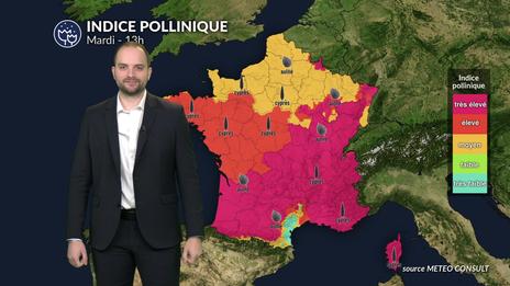 Bulletin pollens et allergies mardi 3 mars : explosion des pollens sous un soleil printanier