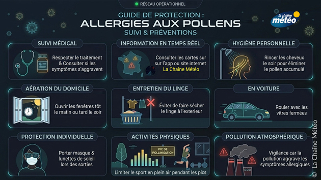 Allergies au pollen : infos et conseils pratiques pour les allergiques Pollens Et Allergies