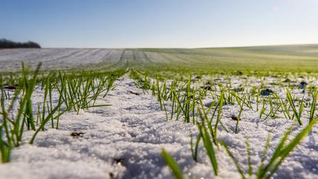 Gel tardif en France : pourquoi mars et même avril restent sous la menace ?