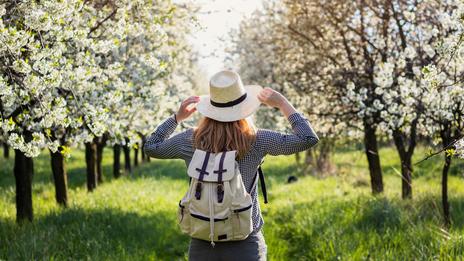 Allergies au pollen : comment gérer ses allergies pendant les ponts du mois de mai ?