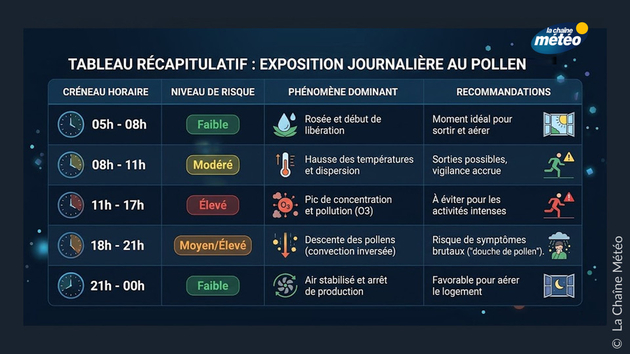 Quelles sont les heures à éviter/ privilégier quand on est allergique? Pollens Et Allergies