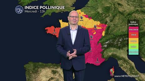 Bulletin pollens et allergies mercredi 4 juin : mauvaise qualité de l'air