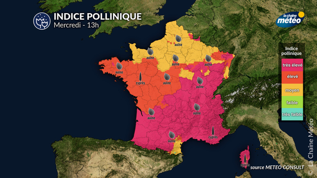 Pollens Et Allergies