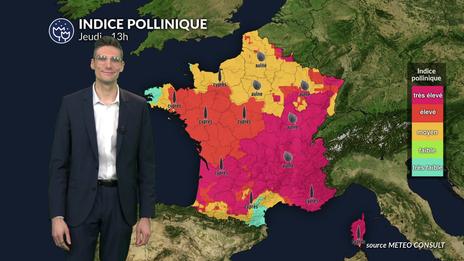Bulletin pollens et allergies du jeudi 5 mars : le risque pollinique augmente avec une douceur printanière