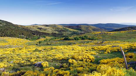 Douceur remarquable et sans fin : l’hiver est-il déjà terminé ?