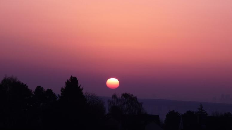 Pollen et allergies : comment les remontées actuelles de poussière du Sahara exacerbent les symptômes allergiques ?