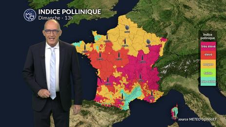 Pollens et allergies : qualité de l'air dégradée ce dimanche 8 mars
