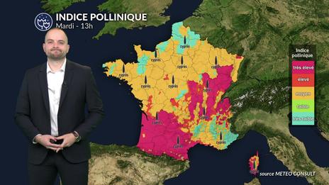 Pollens et allergies : accalmie relative grâce aux nuages et aux pluies