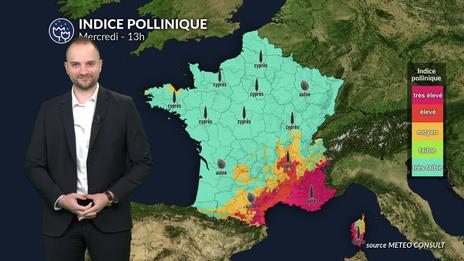 Pollens et allergies : accalmie relative grâce aux nuages et aux pluies