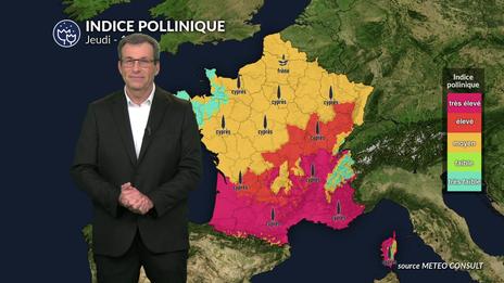 Pollens et allergies : fortes concentrations en pollens sur la partie sud du pays ce jeudi