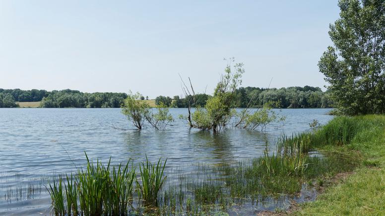 Pluies record en février : les nappes se rechargent nettement en France
