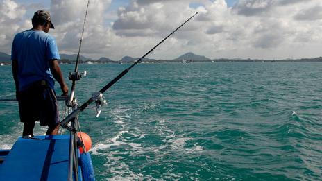 Pêche au gros en Méditerranée : quelles prises sont vraiment possibles et que dit la réglementation en 2026 ?