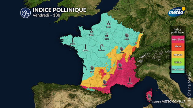Pollens Et Allergies