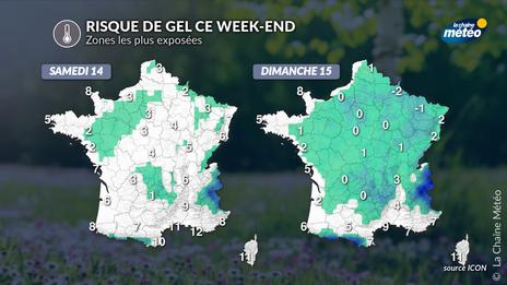 Risque de gel ce week-end : quelles régions concernées ?