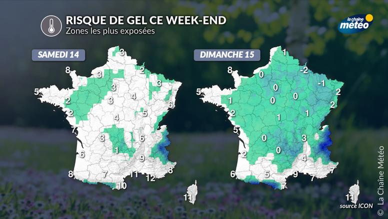 Risque de gel ce week-end : quelles régions concernées ?