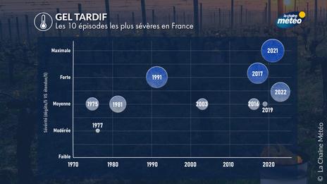Gel tardif en France : pourquoi ce risque agricole devient de plus en plus redoutable