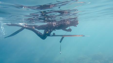 La chasse sous-marine en France : réglementation, zones autorisées et contraintes réelles