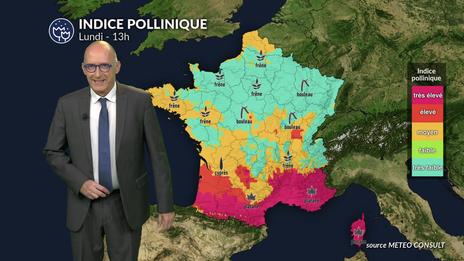Pollens et allergie : un risque allergique contrasté, plus marqué près de la Méditerranée
