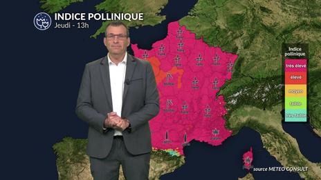 Pollens et allergies : un risque allergique très élevé sur la plus grande partie du pays