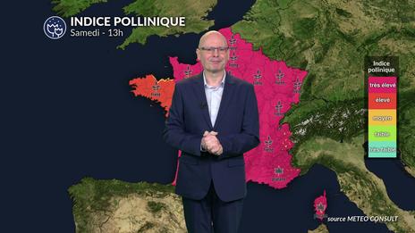 Pollens et allergies : bulletin pour vendredi 20 mars
