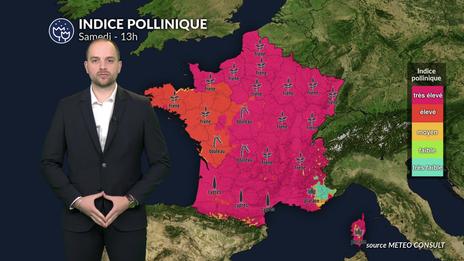 Pollens et allergies : bulletin pour samedi 21 mars