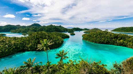 La Papouasie-Nouvelle-Guinée interdit la consommation de poisson après la mort de milliers d'animaux