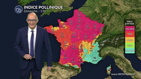 Pollens et allergies : bulletin pour dimanche 22 mars