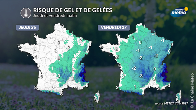 Risque de gel et de gelées Actualités France