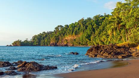 Péninsule d’Osa, Costa Rica : la nature à l’état brut entre jungle et Pacifique