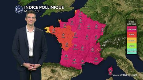 Pollens et allergies : un indice pollinique qui reste maximal dans de nombreuses régions ce mardi