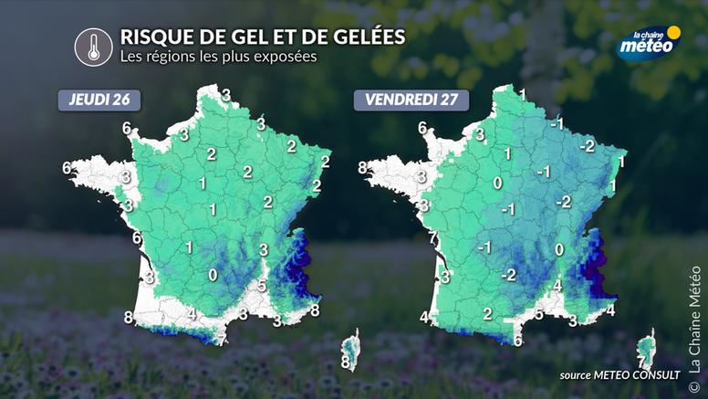 Arboriculture : vers un risque de gel de printemps modéré cette semaine