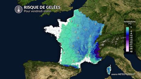 Coup de froid en fin de semaine : les agriculteurs sur le qui-vive face au risque de gel