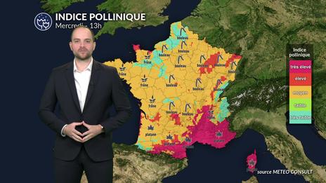 Pollens et allergies : une accalmie fraîche et instable pour les allergiques