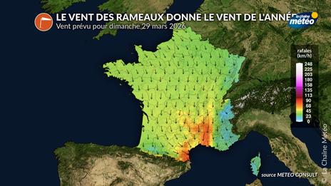 Le vent des Rameaux ce dimanche : un indice météo pour l'été ?