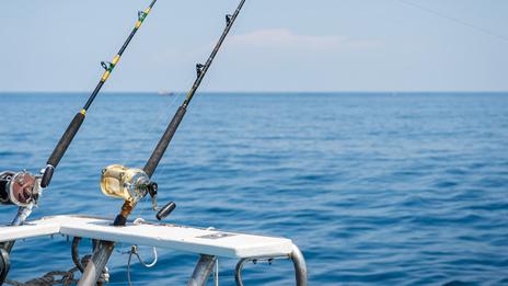 Quels poissons pêcher en avril en France ? Le guide complet par zone maritime