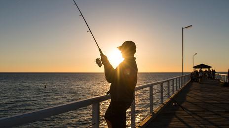 Pêche aux encornets de nuit : technique, matériel et meilleurs spots en Méditerranée