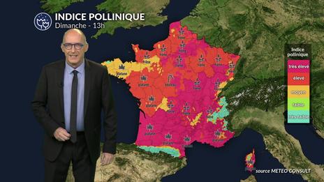 Pollens et allergies : un risque en baisse au nord dimanche, vigilance maintenue au sud malgré le vent