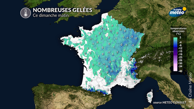 Gel et gelées ce matin en plaine au nord Actualités France