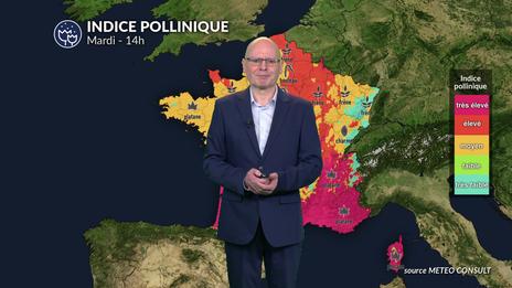 Pollens : vent et météo contrastée, une journée difficile ce mardi