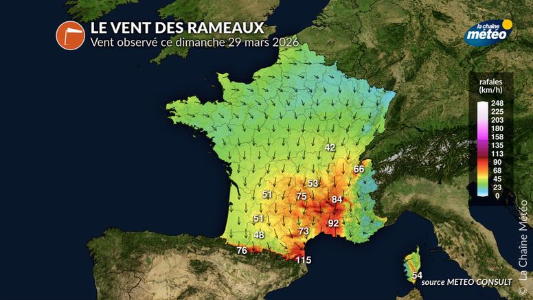 Vent du nord pour les Rameaux : quel signe pour cet été ?