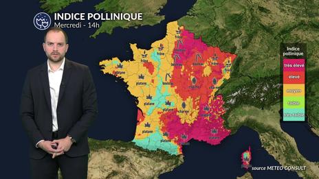 Pollens et allergies : un indice pollinique encore élevé dans de nombreuses régions ce mercredi