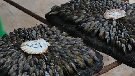L’éclade de moules : le grand spectacle culinaire des côtes charentaises
