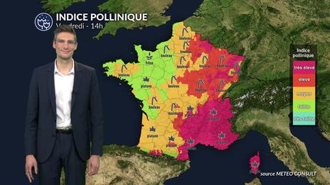 Pollens et allergies : un indice pollinique très élevé au sud-est, plus faible au nord-ouest ce vendredi