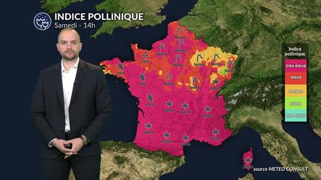 Pollens et allergies : risque marqué au sud, plus limité au nord
