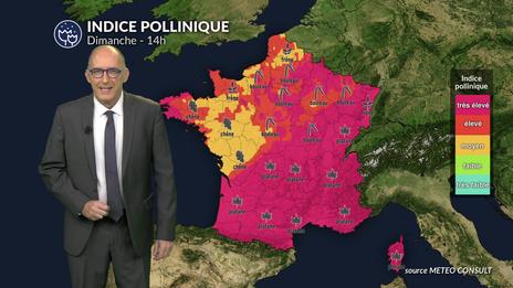 Pollens et allergies : un risque pollinique très élevé dans de nombreuses régions pour ce dimanche de Pâques